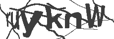 CAPTCHA Img